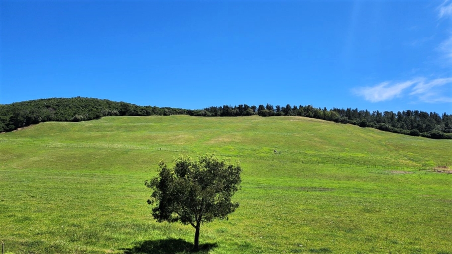 0 Bedroom Property for Sale in Agricultural Holding 318 Western Cape